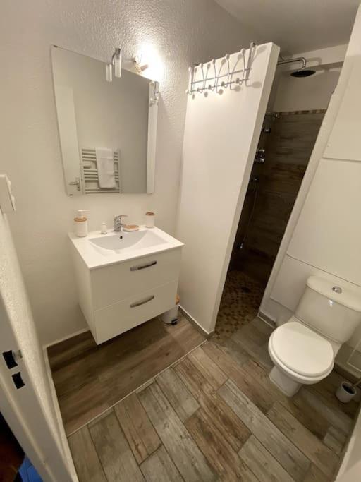 Studio Cabine Avec Jardin Daire Canet-en-Roussillon Dış mekan fotoğraf