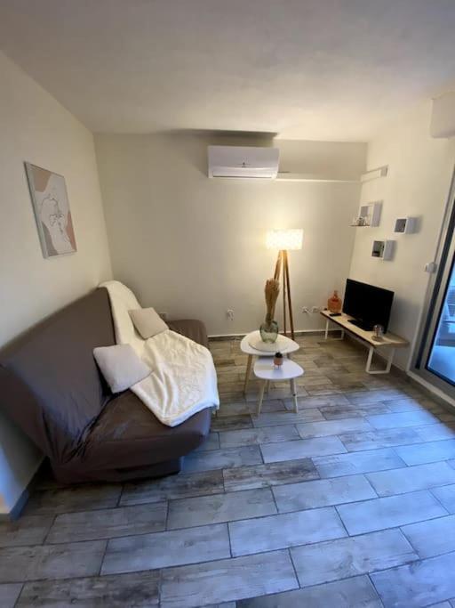 Studio Cabine Avec Jardin Daire Canet-en-Roussillon Dış mekan fotoğraf